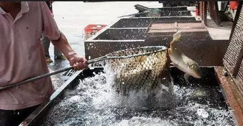 等我老了，就去桐庐这样过——枕水而居，渔舟唱晚