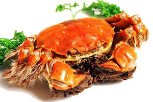 从池塘到餐桌 构建全过程可追溯的水产品管理体系