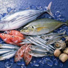 靖江市兴江水产品商行 深耕水产品行业，打造优质供应链