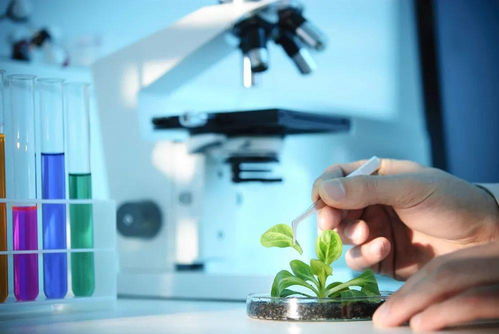 年末食品安全焦点 水产品安全引发全民关注，监管强化与行业自检并进